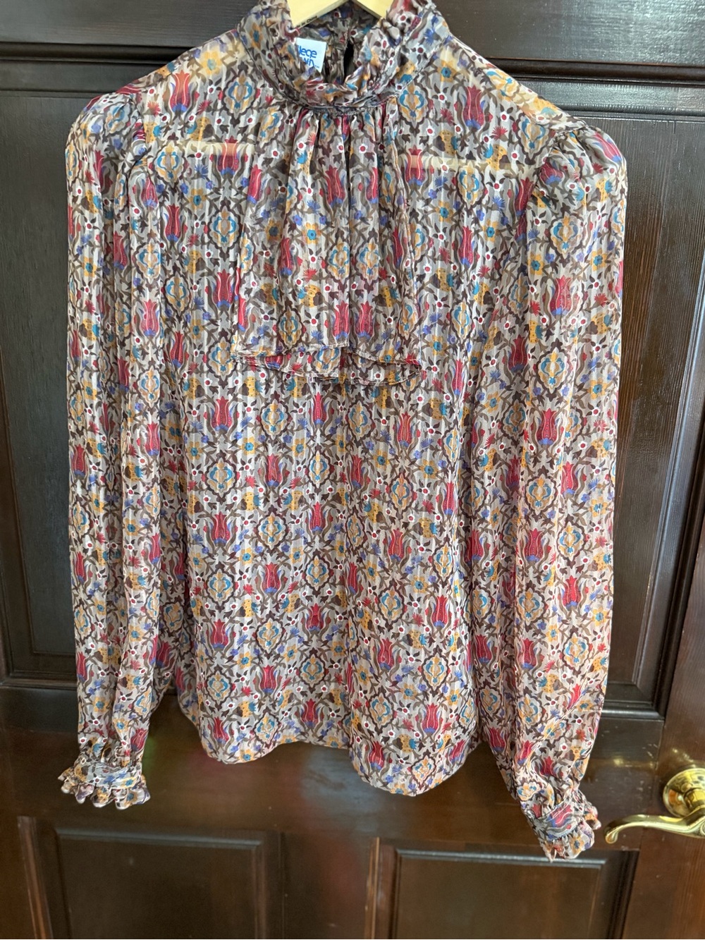 Vintage 70s College Town Sheer Boho Paisley Secretary Blouse- Ruffle Neck